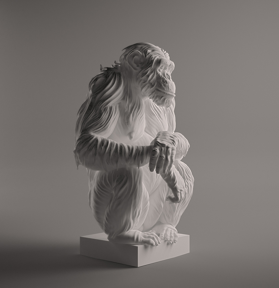 chimp_03_web.jpg