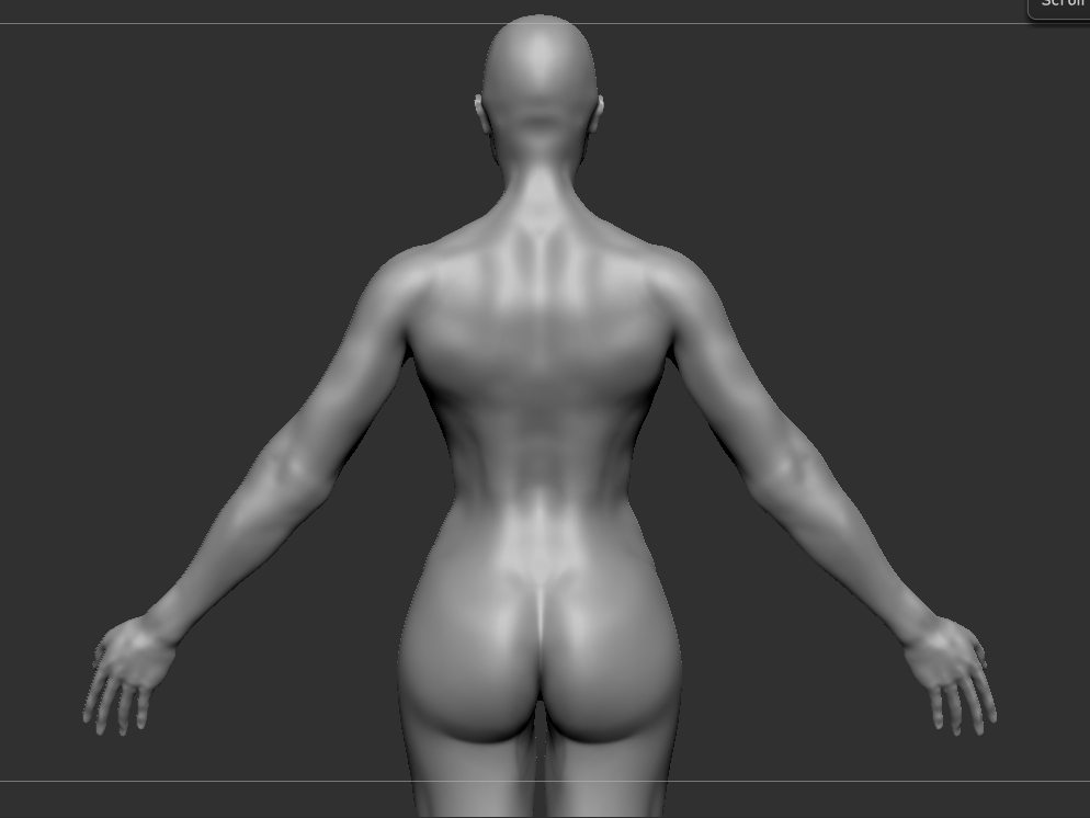 Anatomy3.jpg