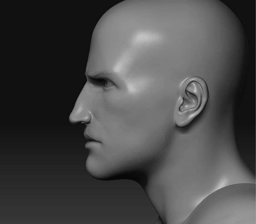 ASSASSIN_faCE_side.JPG