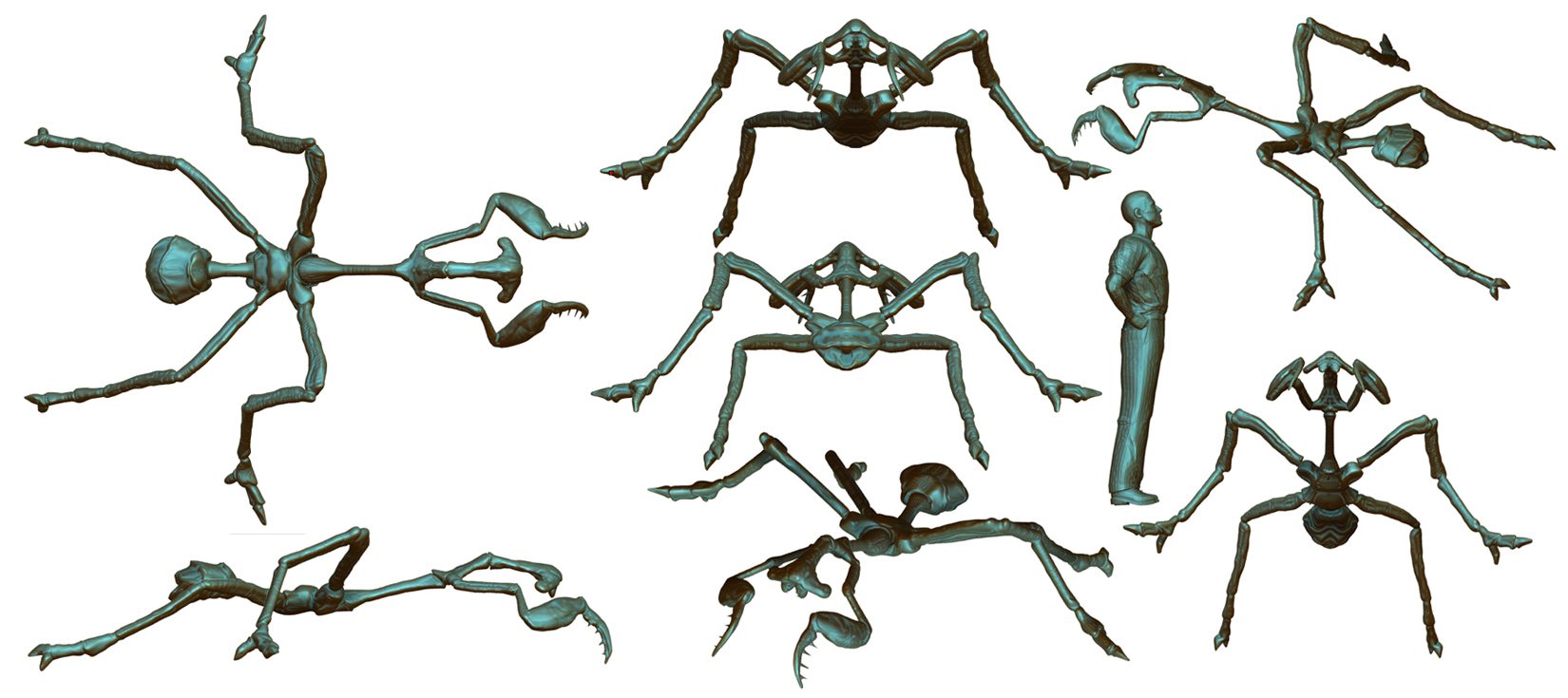 mantosphyrna 3 s.jpg