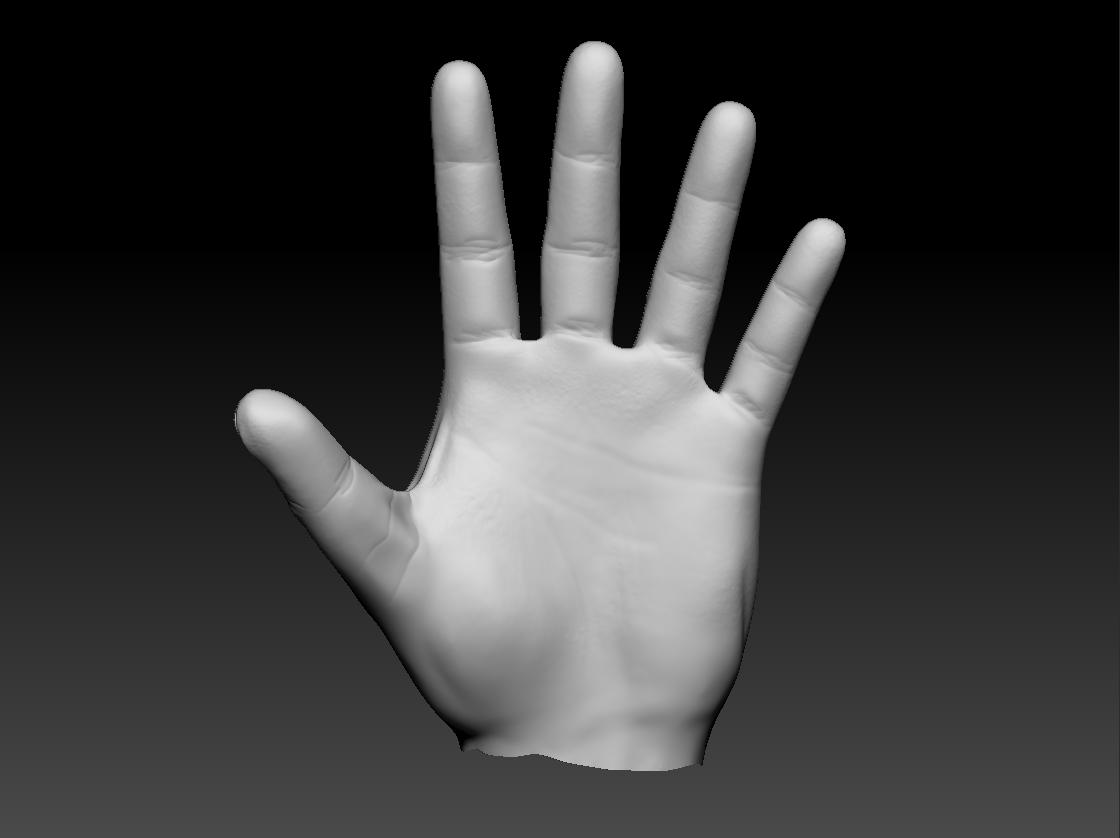 Hand_F_v1.JPG