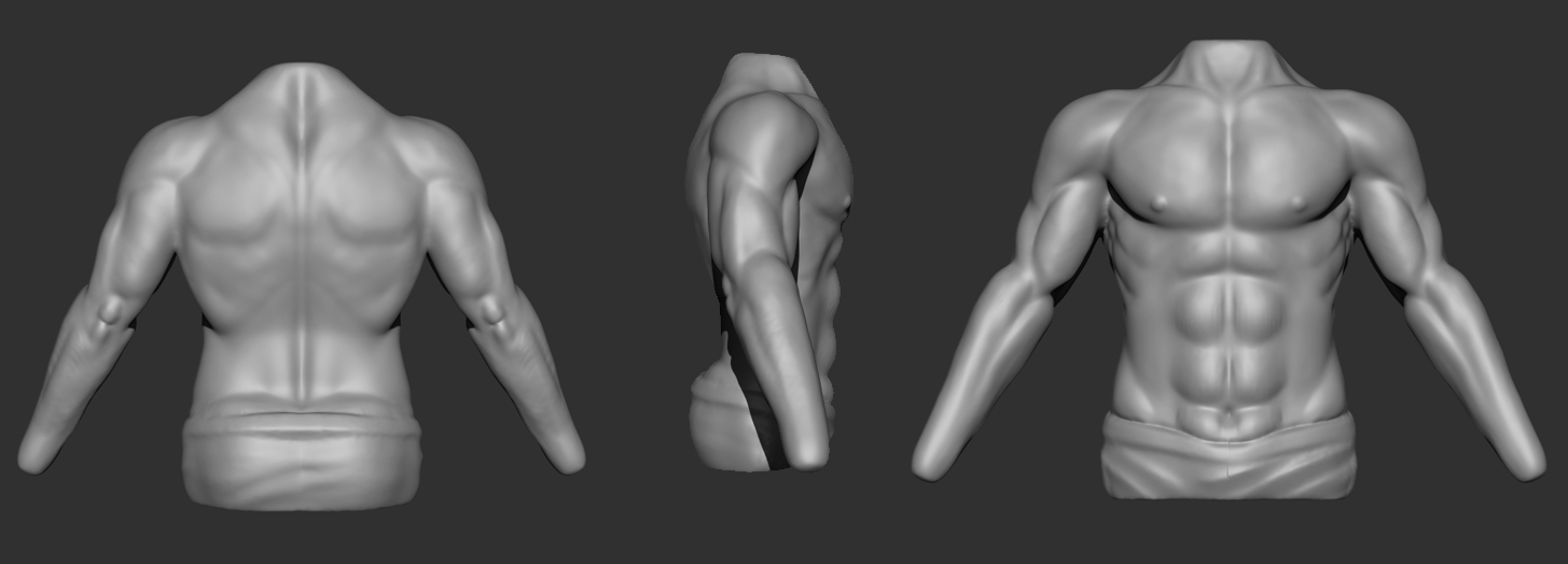 arms.jpg