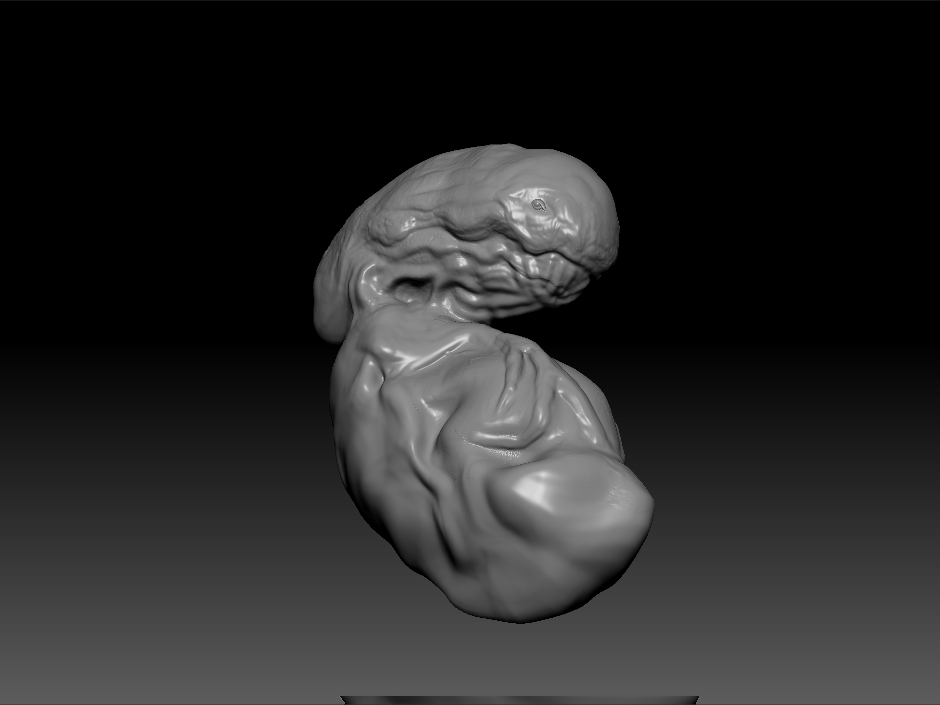 ZBrush Docume3nt.jpg