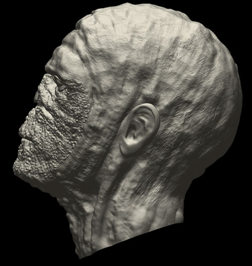 finished-head-side-web.jpg