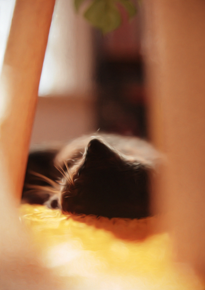 vignette_02_PP