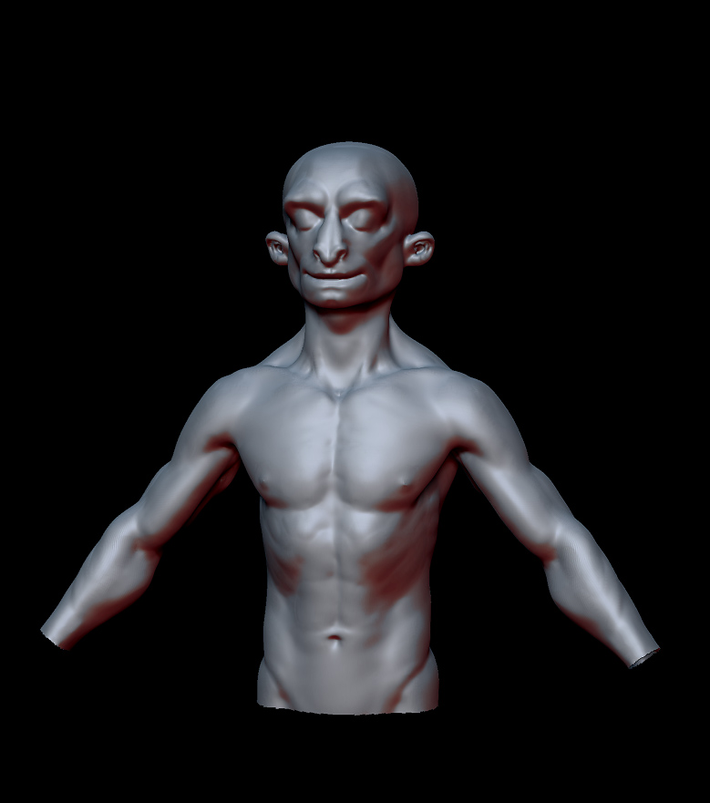 Kogo_Torso.jpg