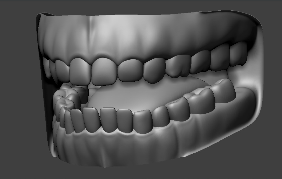 OralCavityRemodeled.jpg