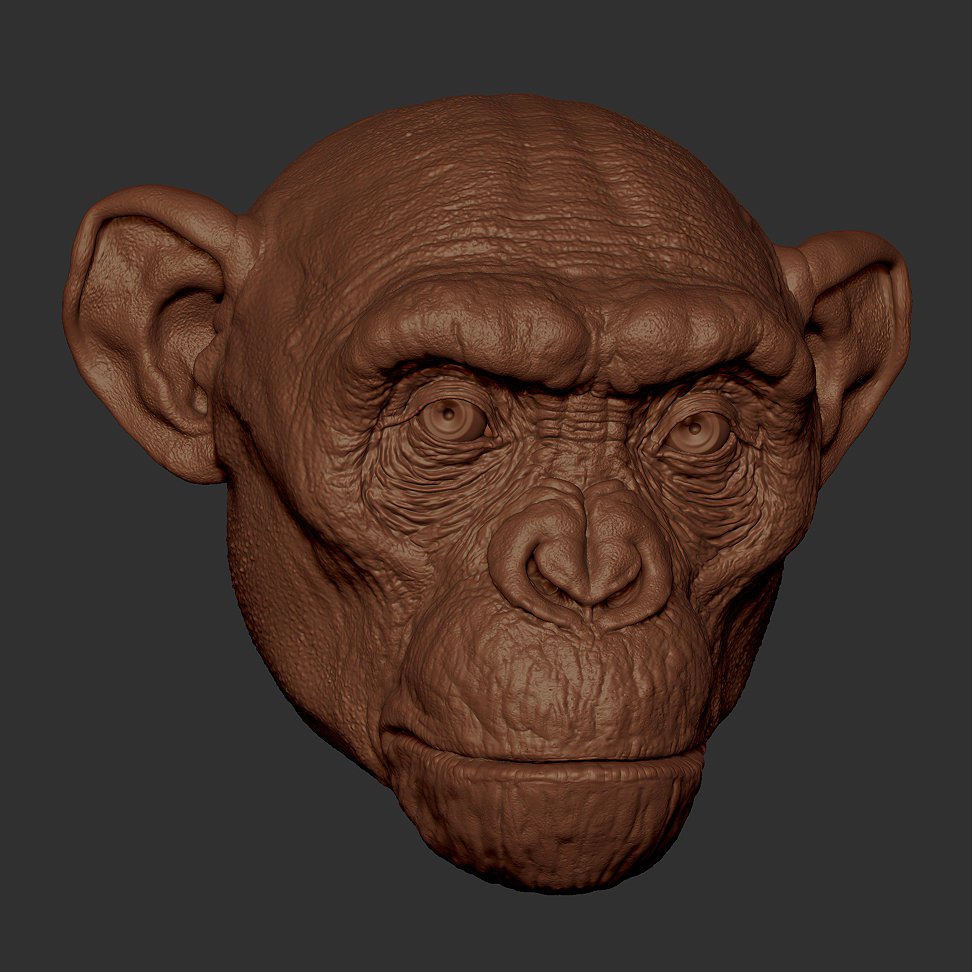 ZBrush Document  002
