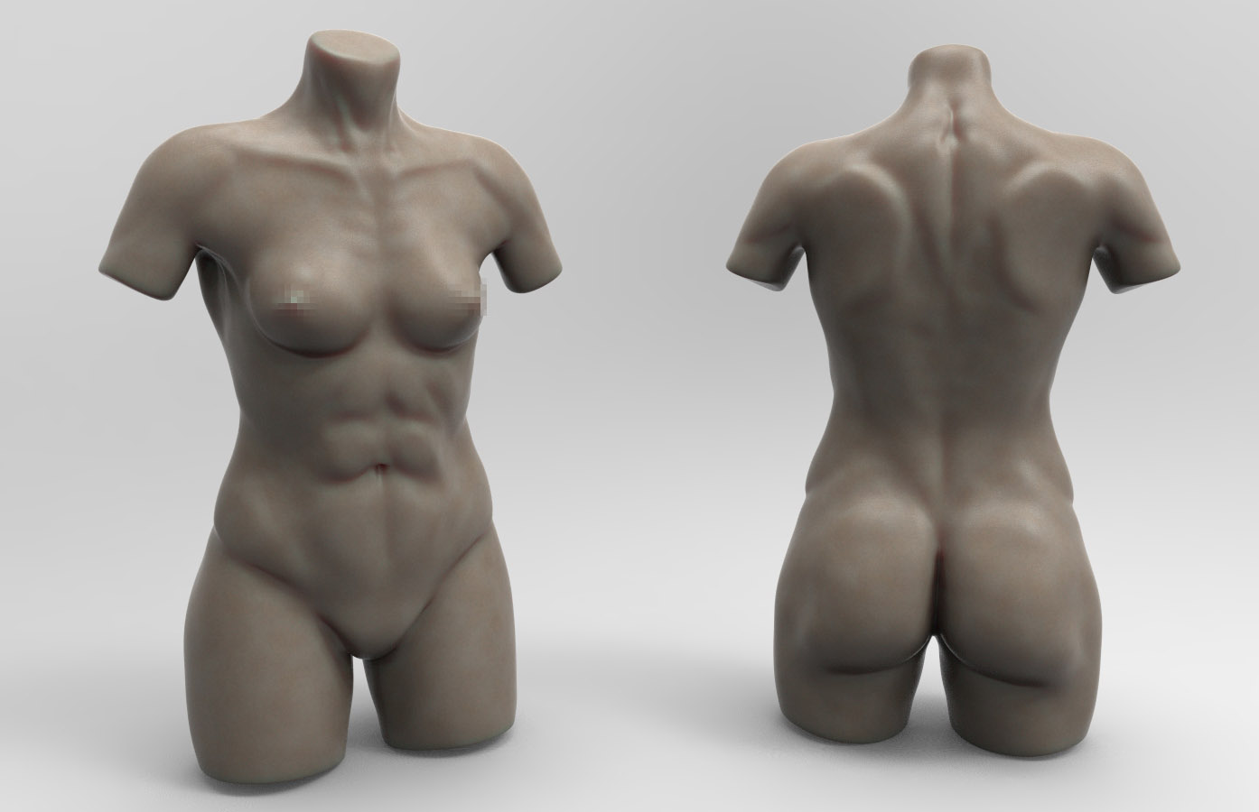 Femlae_Torso_censored.jpg