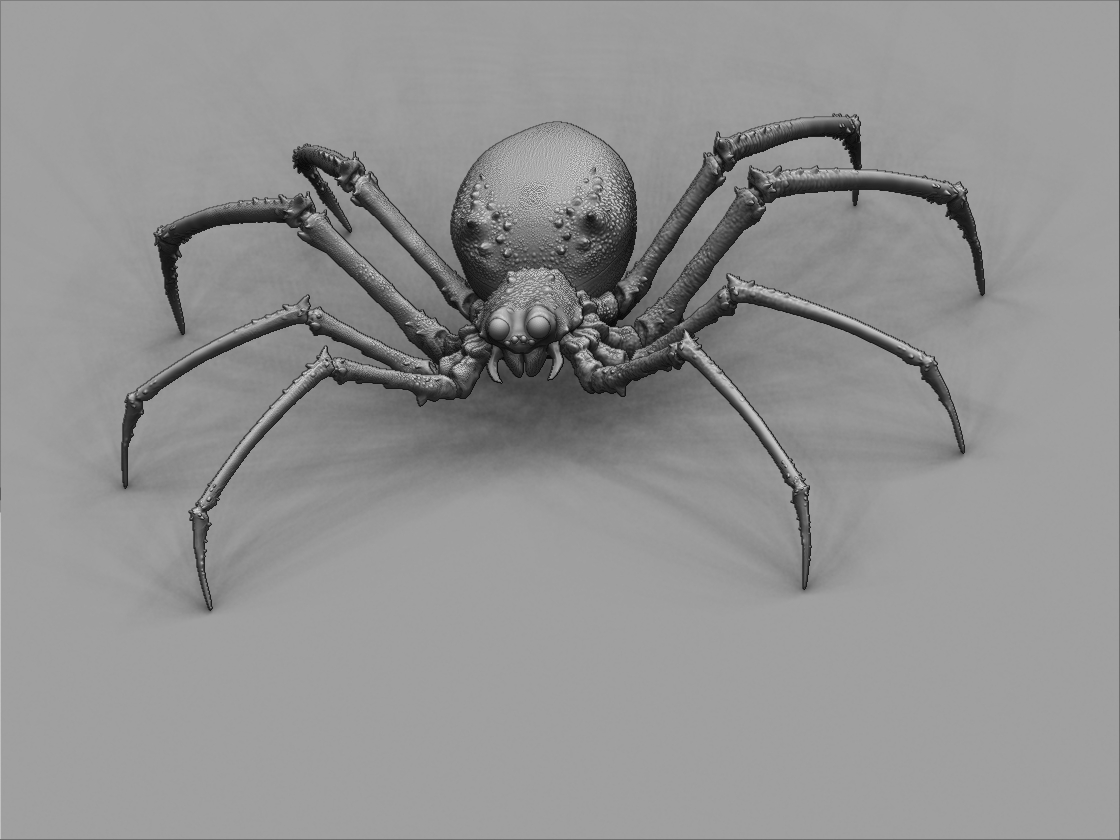 Spyder1.jpg