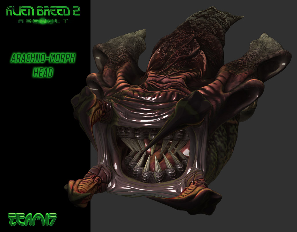 005_Arachno-Morph_Rend02Web.jpg