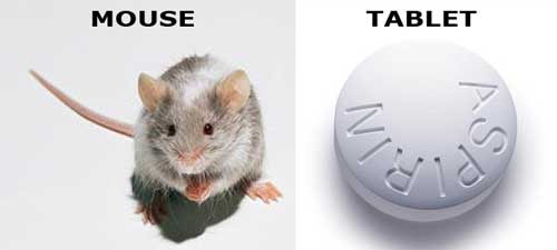 mouse-tablet.jpg