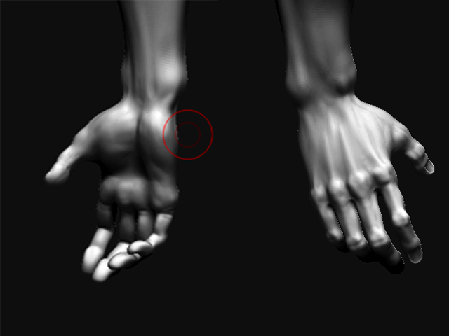 hands.jpg