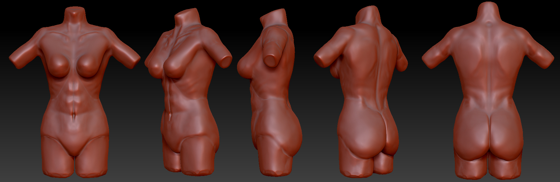 Wip 02.jpg