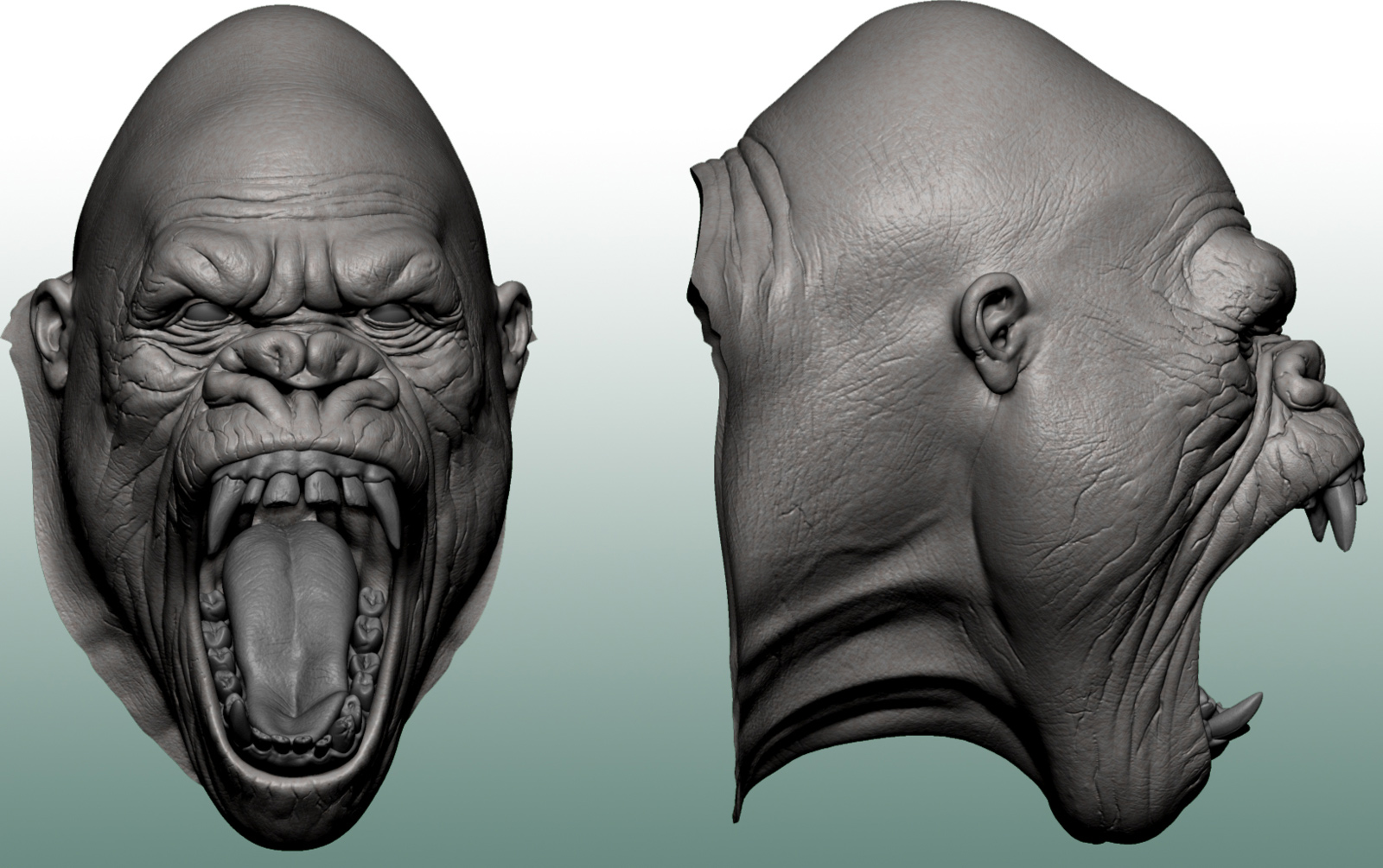 Front-and-Side-no-texture.jpg