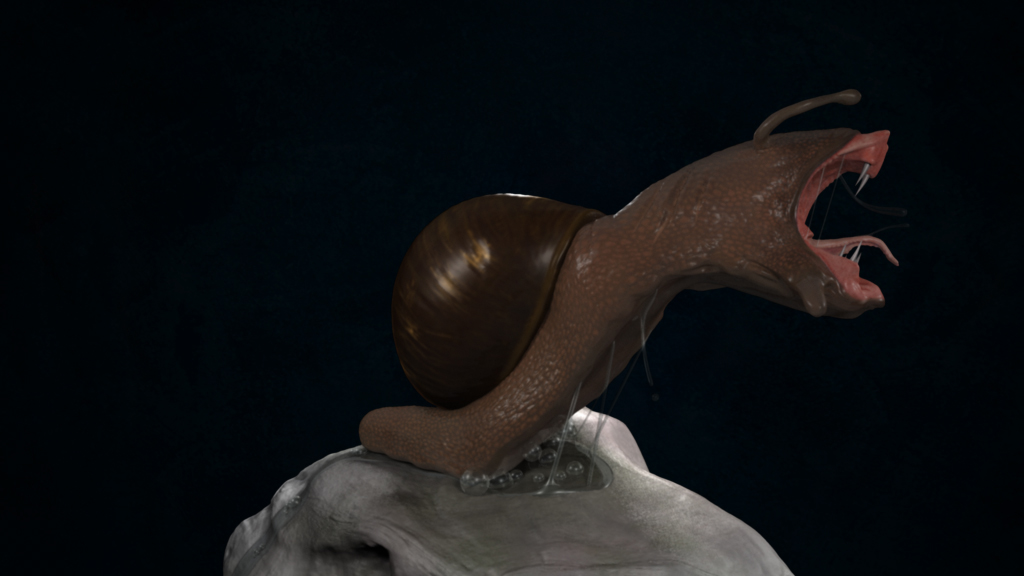 Vicious_Snail_4.jpg