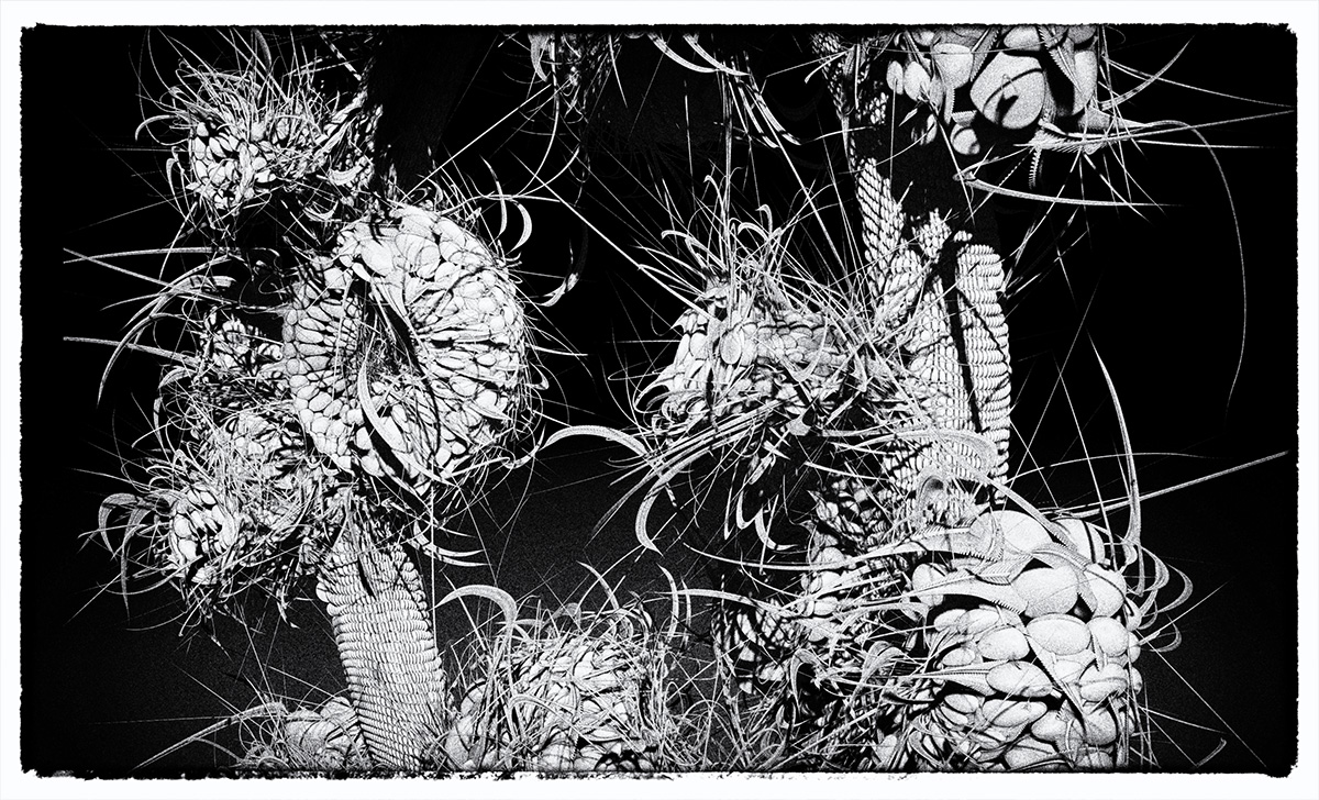 flora.jpg