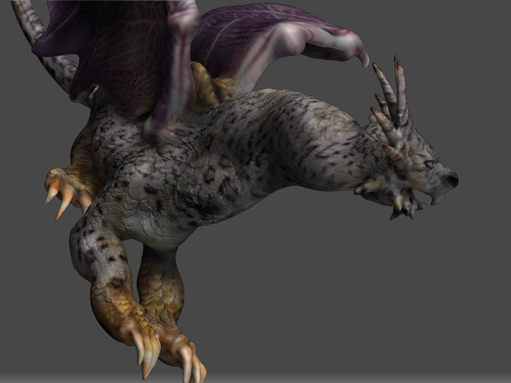 DRAGON SPOTLIGHT 23.jpg