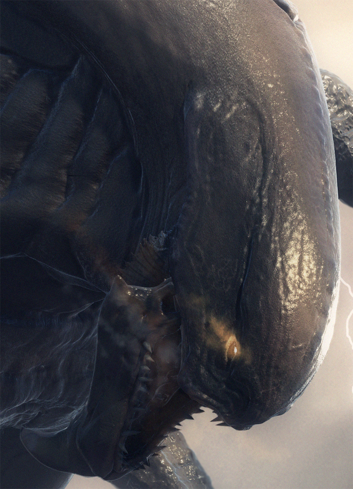 Jorm_closeup.jpg