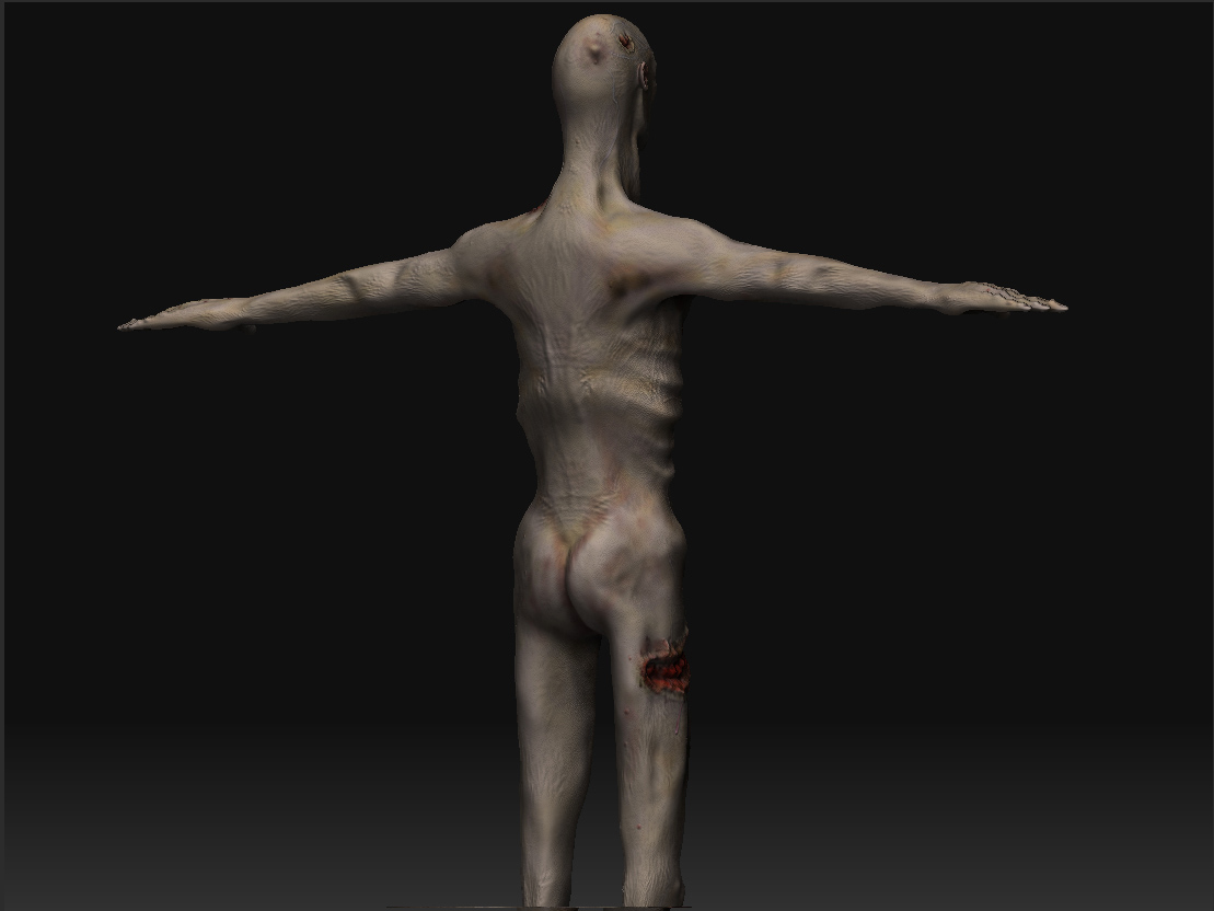Back.jpg