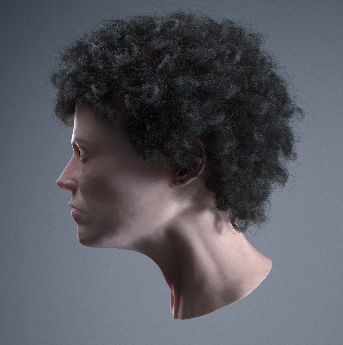 ripley_maya_rend_side_01.jpg