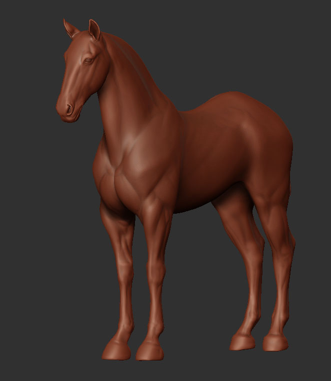 Horse-1.jpg