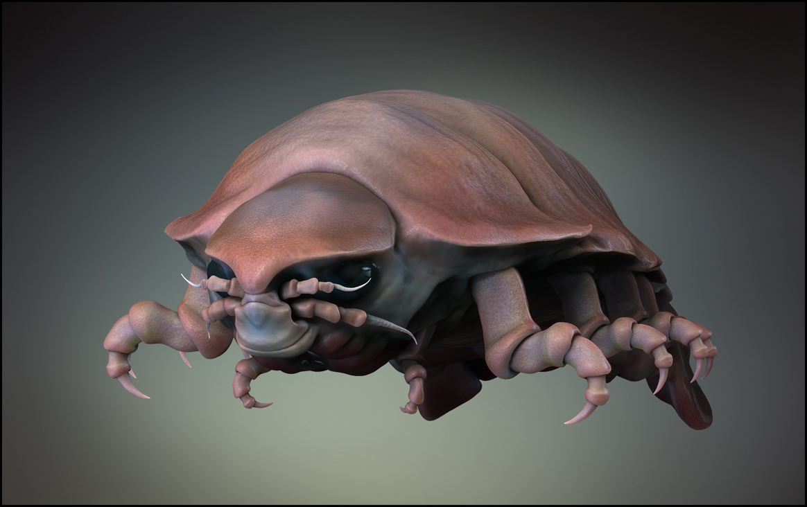render novo xx.jpg