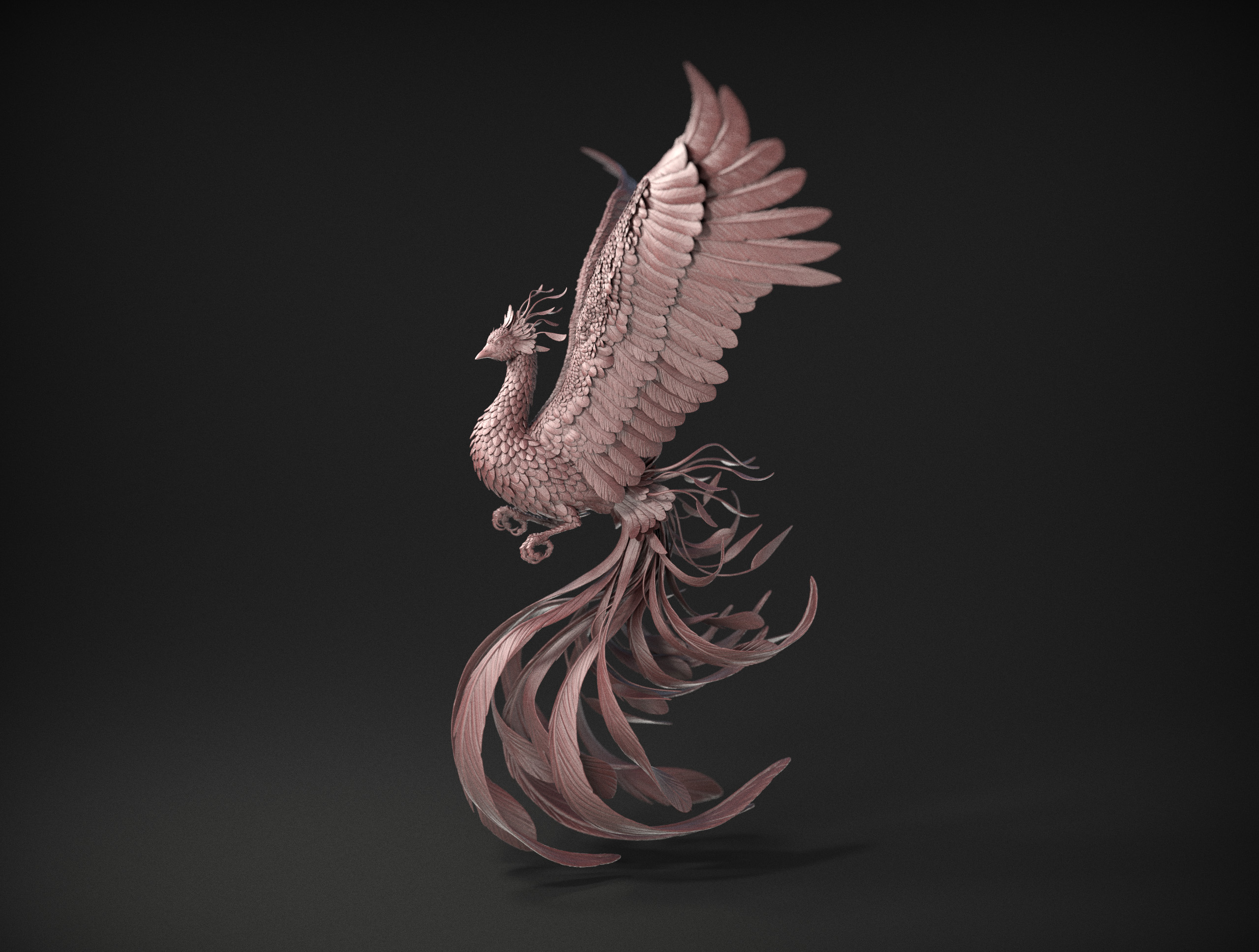 bird1