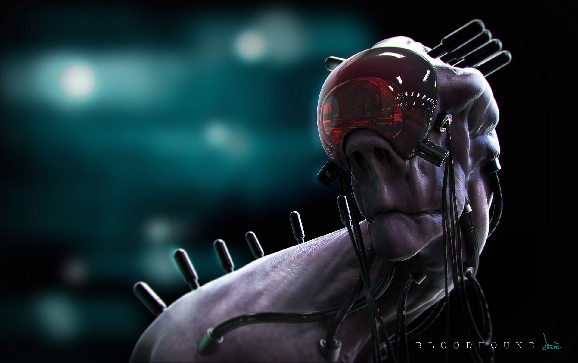 gareth-beedie-bloodhoundcomp.jpg