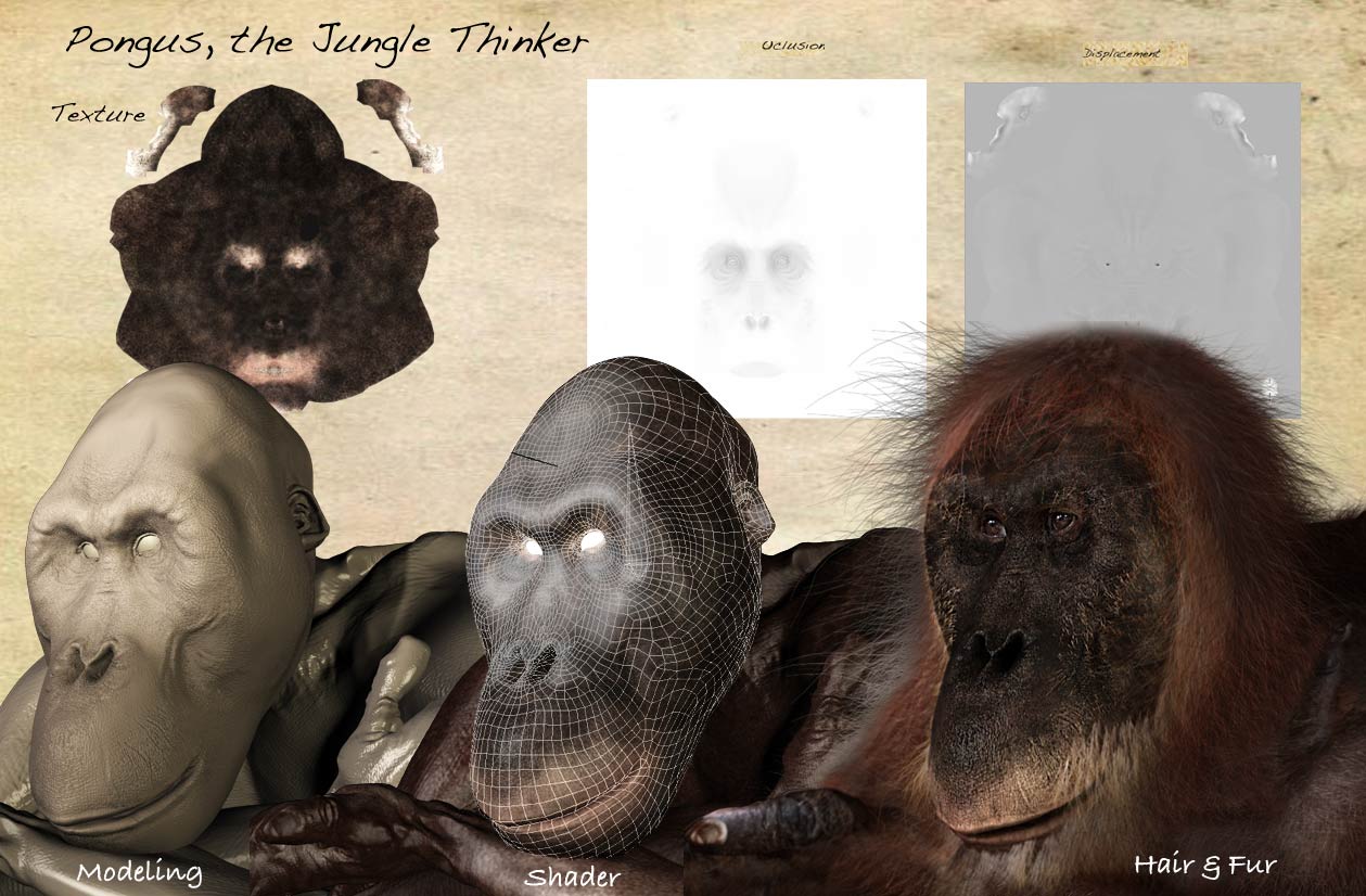 07_pongus_Board_3.jpg