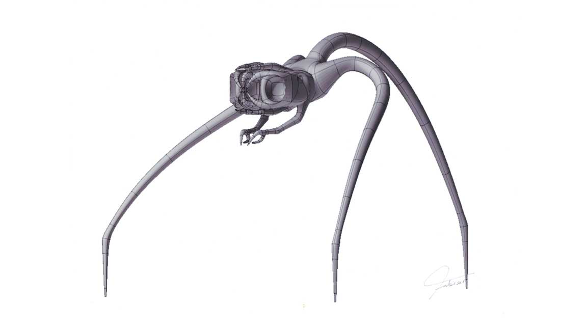 spider-first-phase.jpg