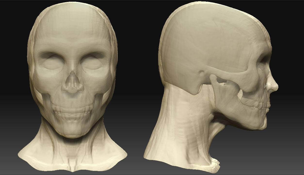 calm_skeleton.jpg