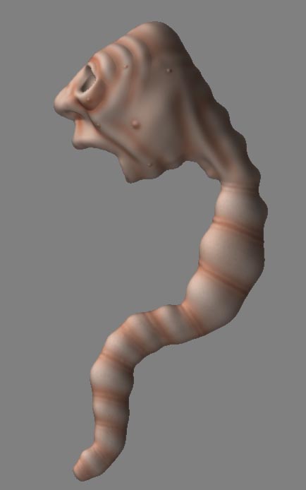 Worm texture side.jpg