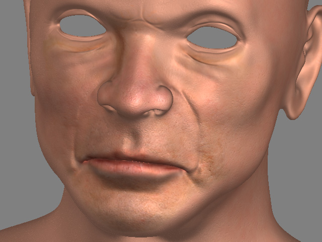 headwipcolour.jpg