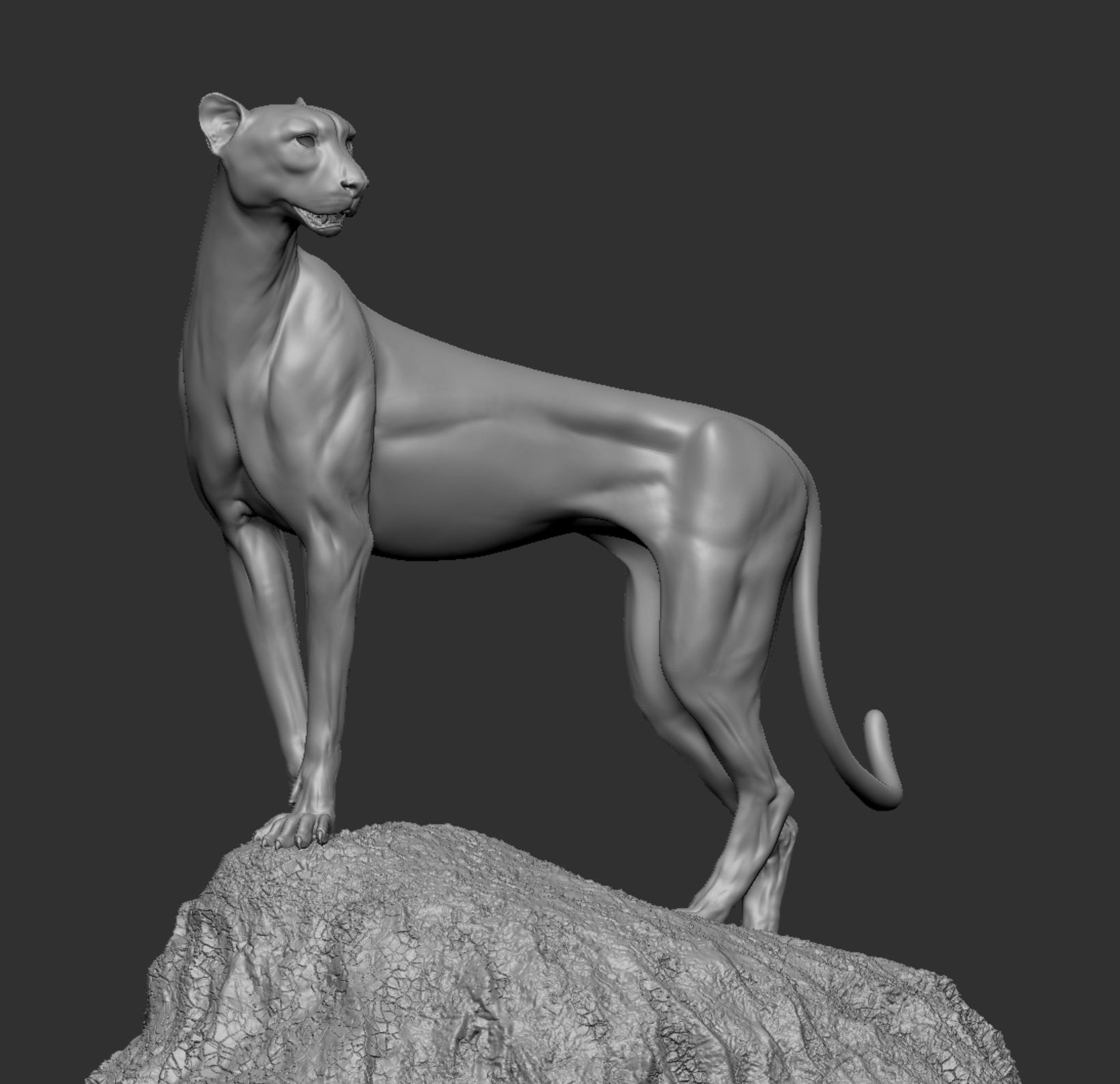 zbrush