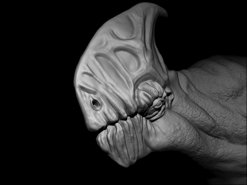 Wrinkly.jpg