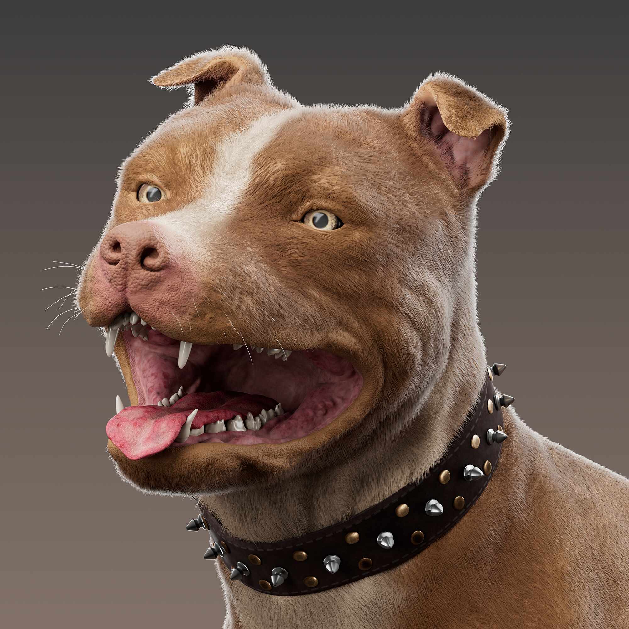 Pitbull - ZBrushCentral