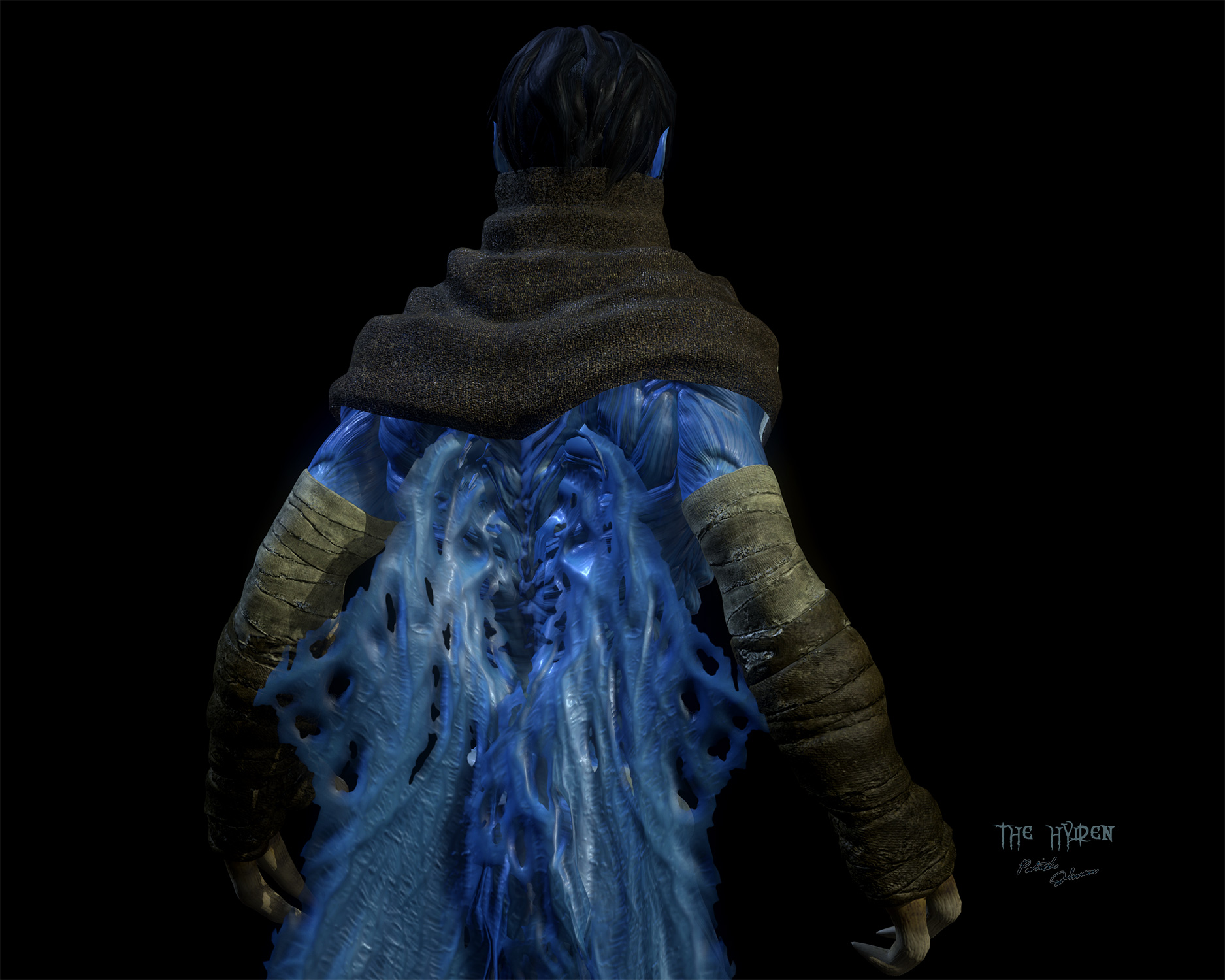 Cloaked-back-wings-down.jpg