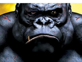 kongflippped.jpg