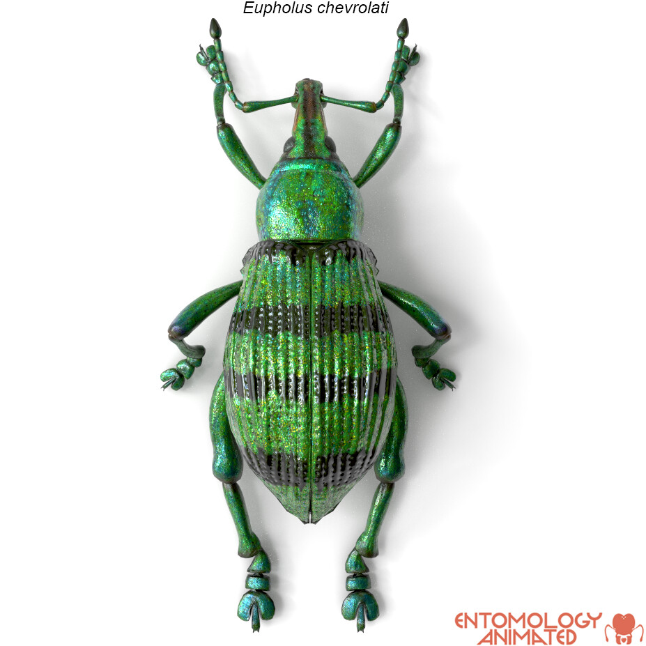 eric-keller-e-chevrolati-render-01