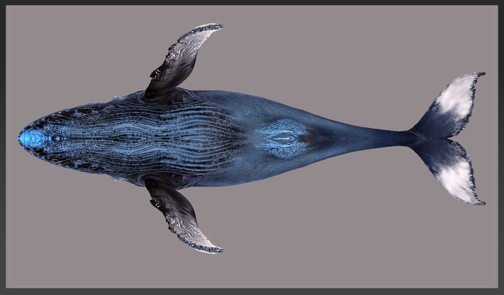 whale paint back.jpg
