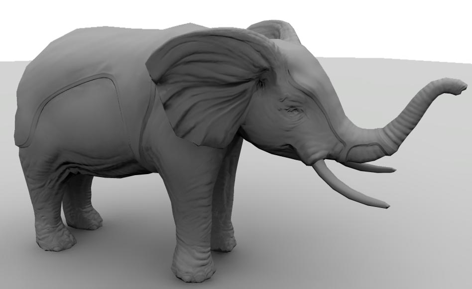 Elephant.jpg