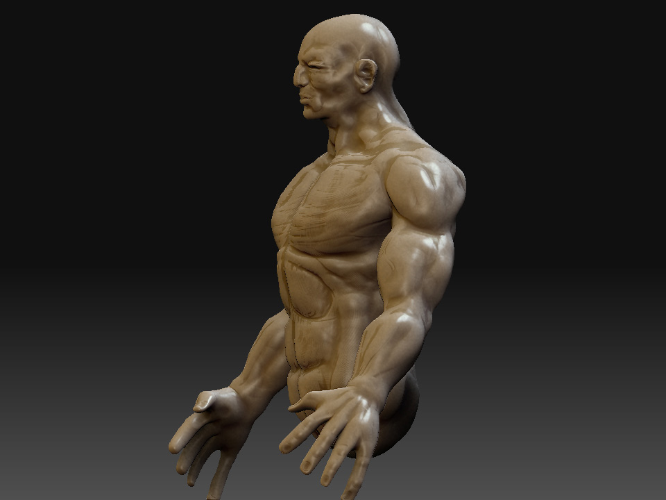 render_humano3.jpg