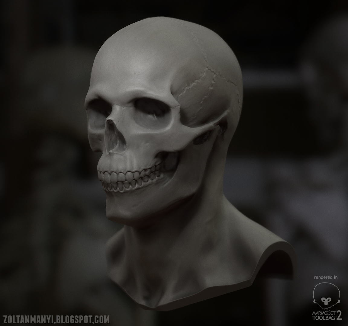 SkullMarmo_shot_02_s.jpg