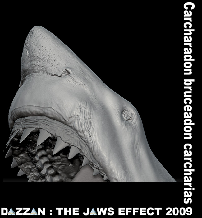 BRUCE_open-mouth-FINAL-DETAILSBASE-EMPTY07.jpg