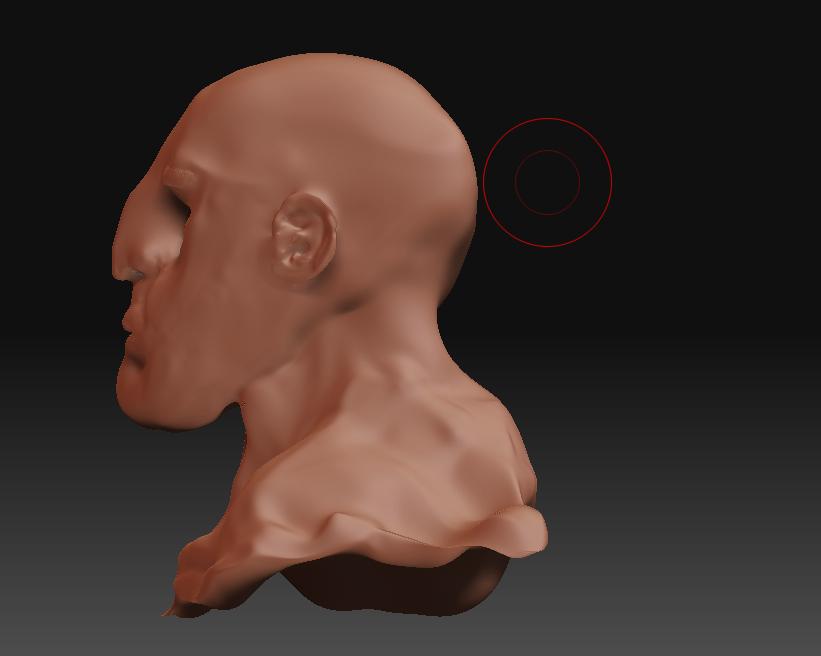 Bust8Side.jpg