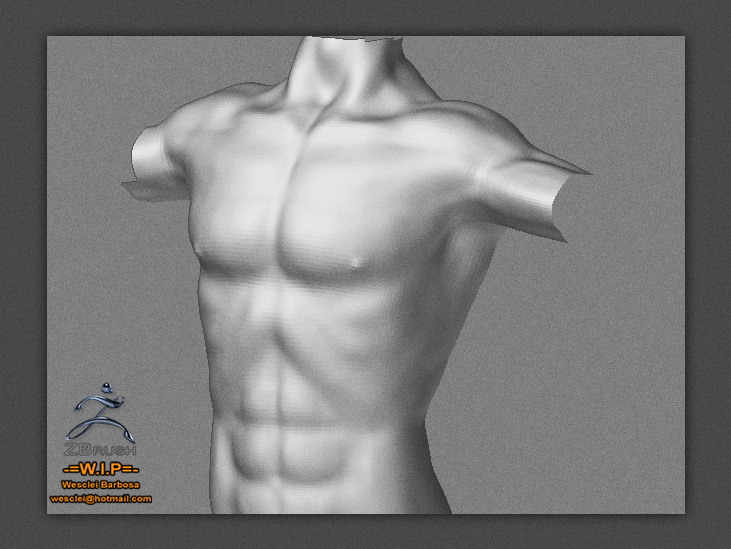Up_Torso.jpg