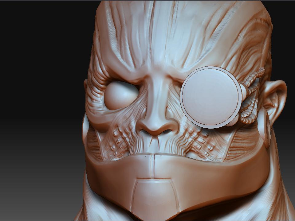 HEAD side2.JPG