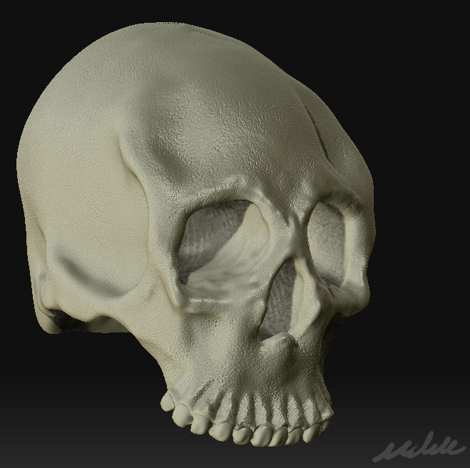 wip_1.jpg