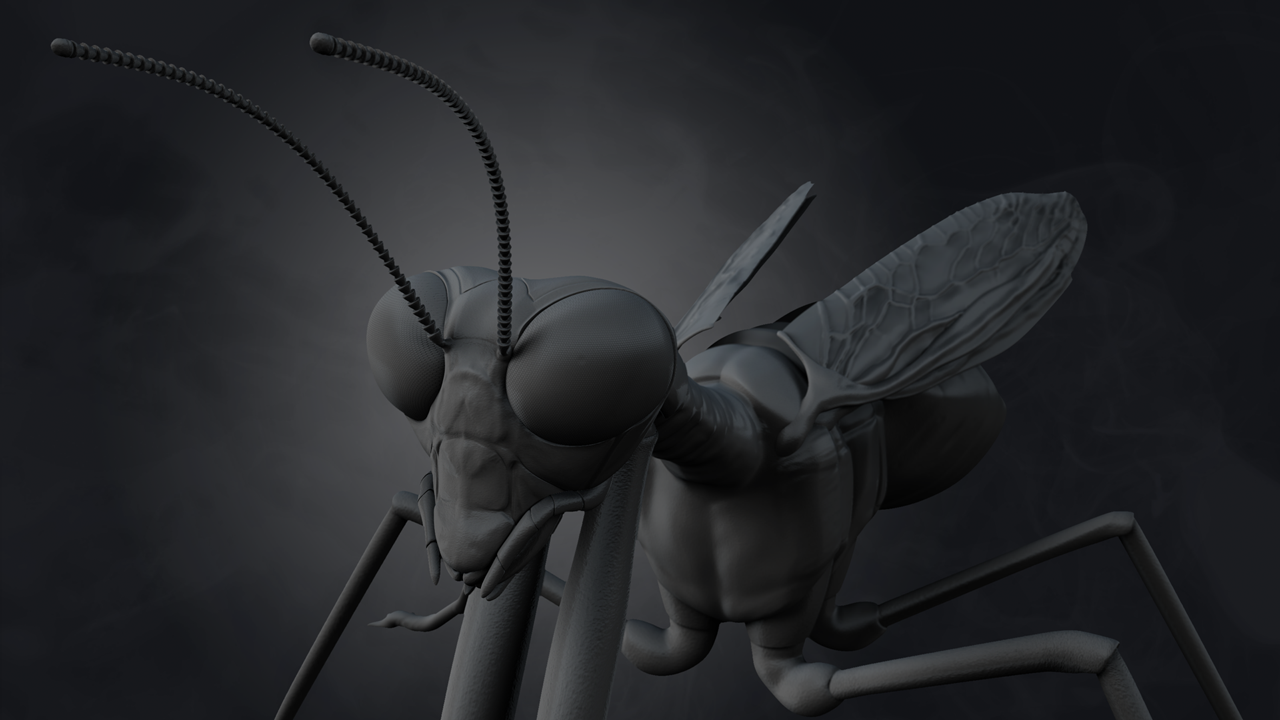 Mantidfly_Front_720.png